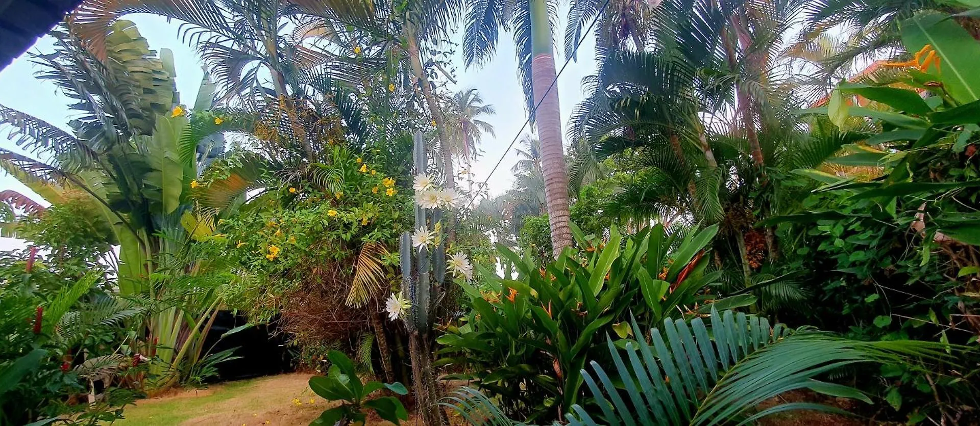 Villa Casa Mango Las Terrenas Semesterbostad